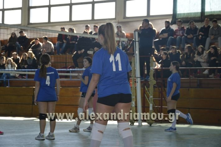 volley_1o-alexandreias-melikis2018 (66)